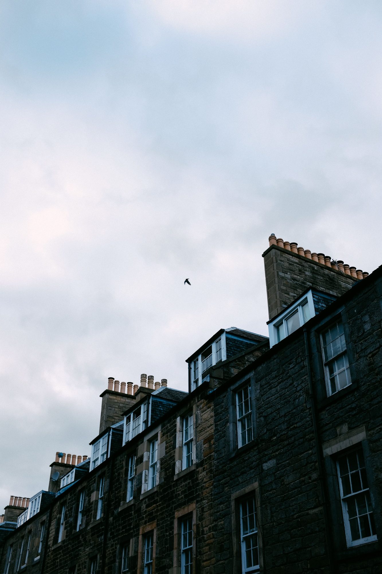 A terraced Edinburgh tenement roofline with many chimney stacks silhouetted at dusk